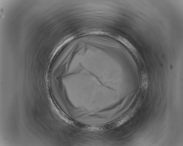 X0000085000806200703261127