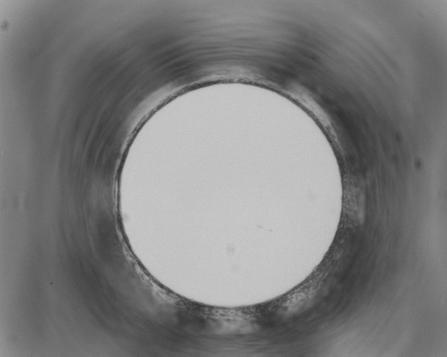 X0000085000807200703261127