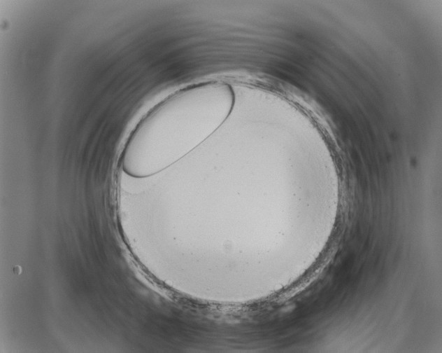 X0000085000808200703261127