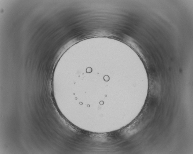 X0000085000810200703261127