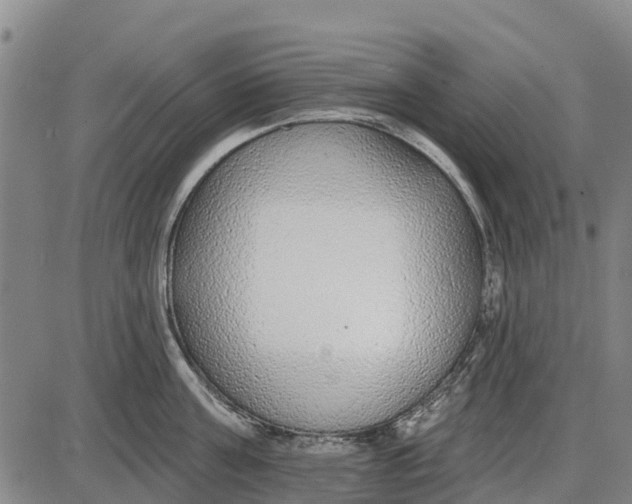 X0000085000811200703261127