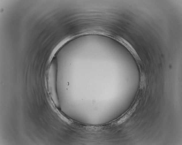 X0000085000812200703261127