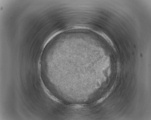 X0000085000814200703261127