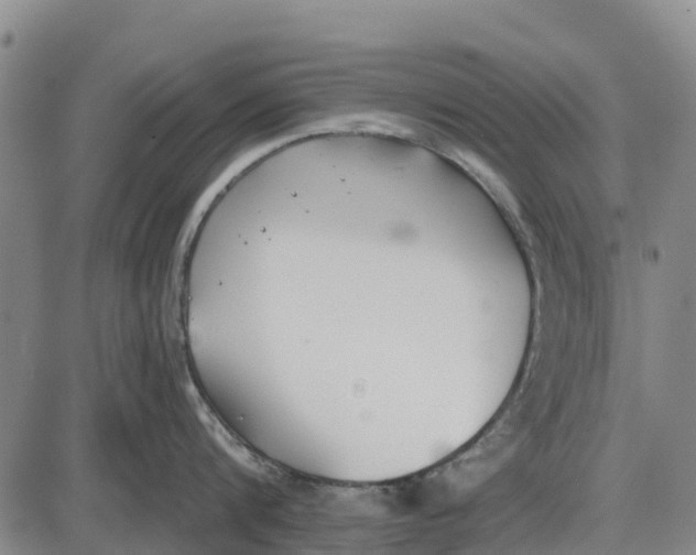 X0000085000816200703261127