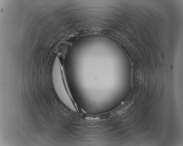 X0000085000818200703261126