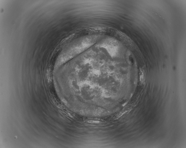 X0000085000819200703261126