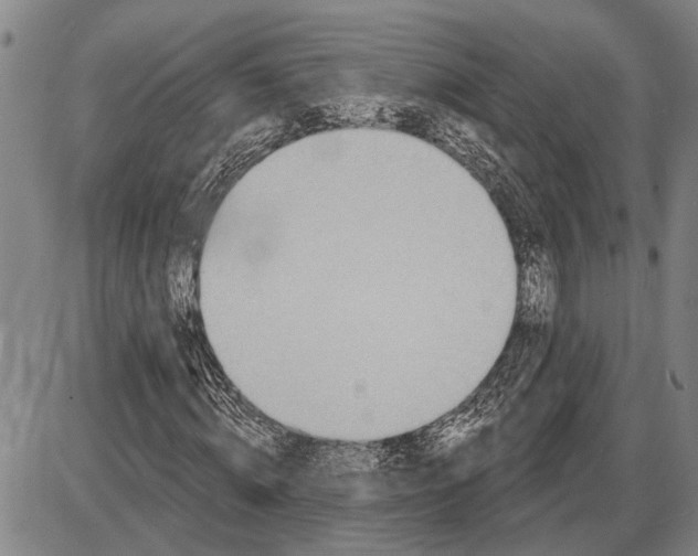 X0000085000820200703261126