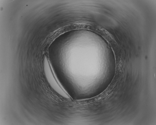 X0000085000821200703261126