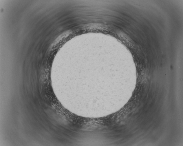 X0000085000824200703261126