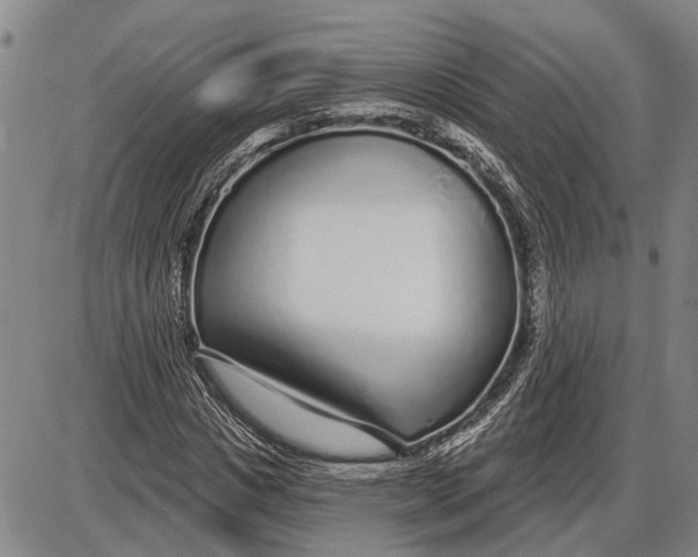 X0000085000825200703261126