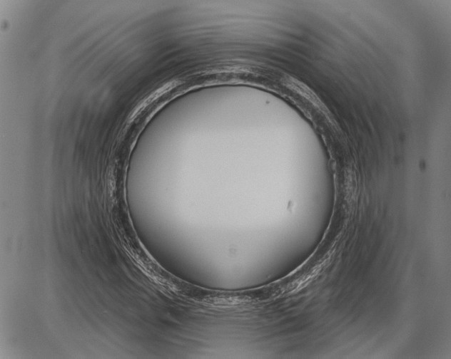 X0000085000826200703261126