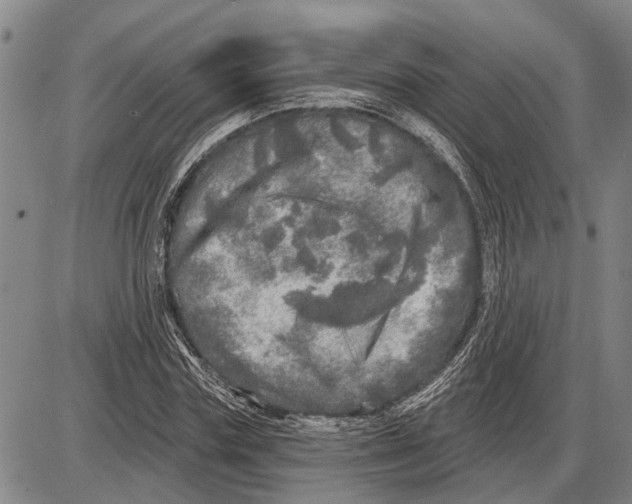 X0000085000827200703261126