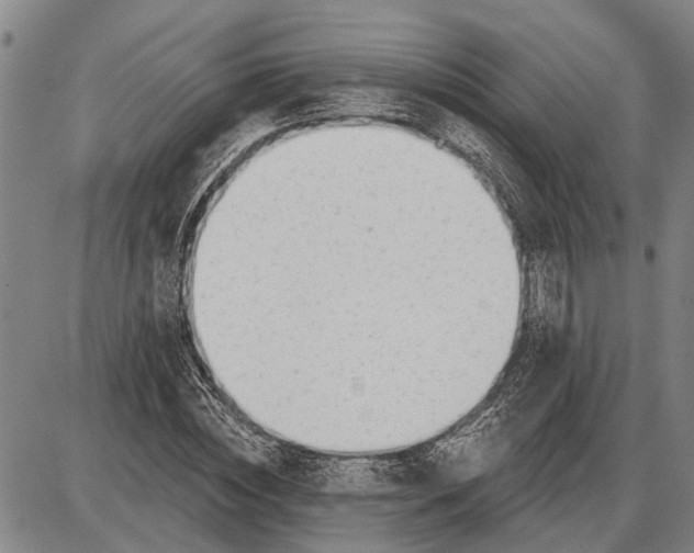 X0000085000828200703261126