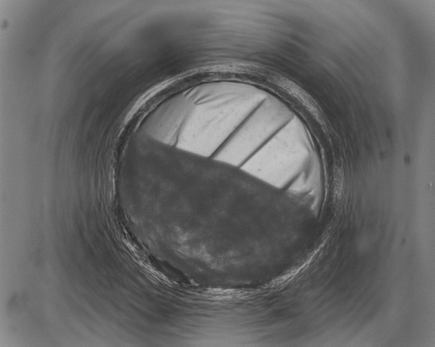 X0000085000829200703261126