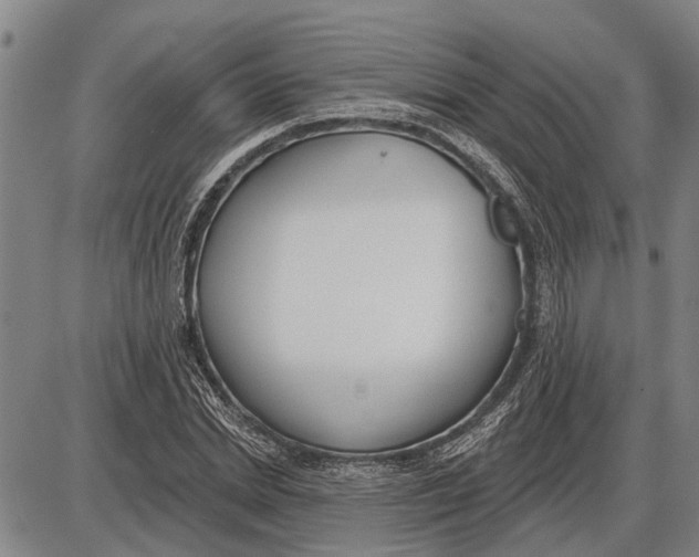 X0000085000830200703261126