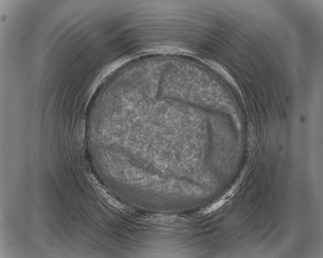 X0000085000831200703261126