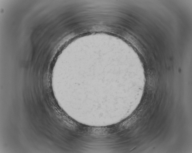 X0000085000832200703261126