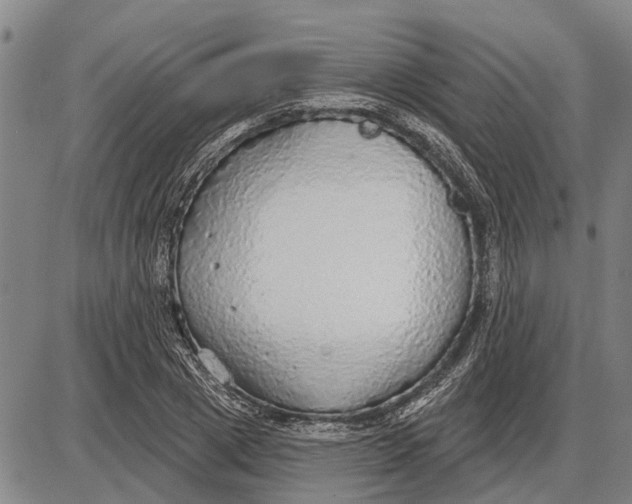 X0000085000833200703261126