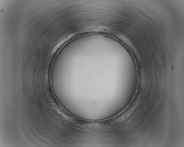 X0000085000834200703261126