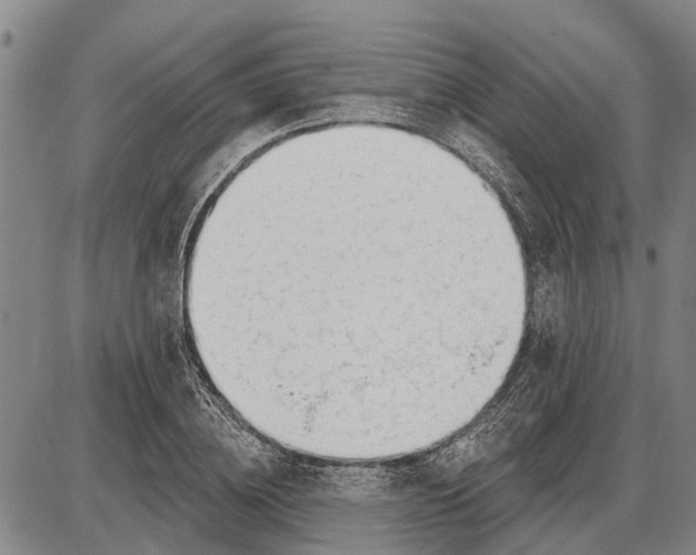 X0000085000836200703261126