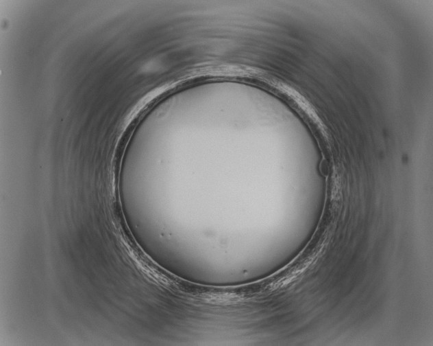 X0000085000837200703261126