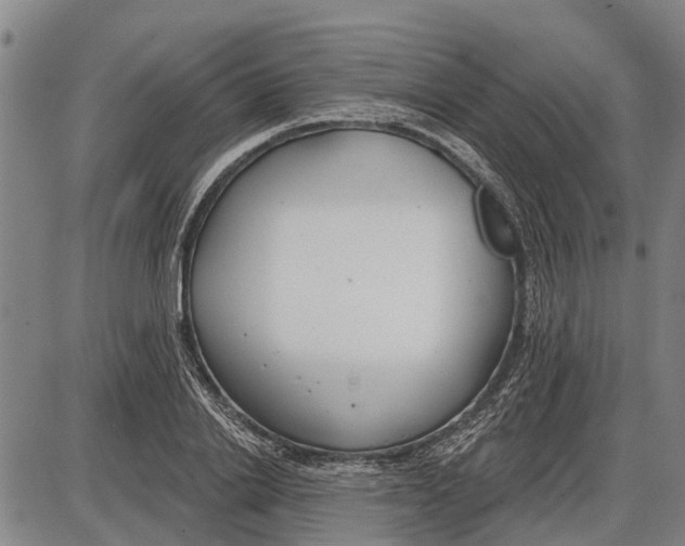 X0000085000838200703261126