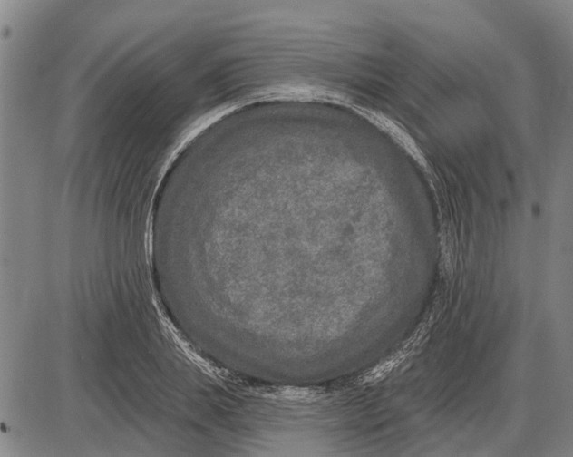 X0000085000839200703261126