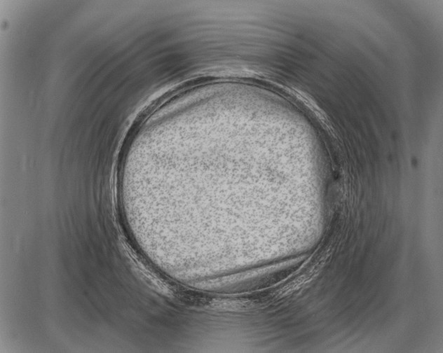 X0000085000840200703261126