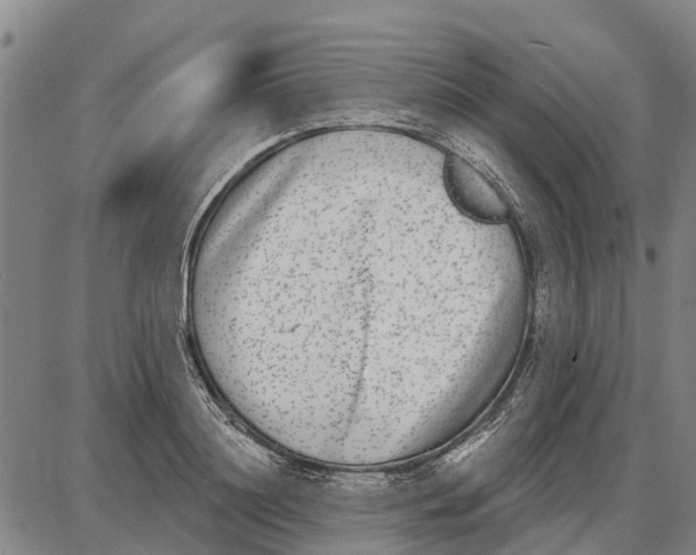 X0000085000844200703261126