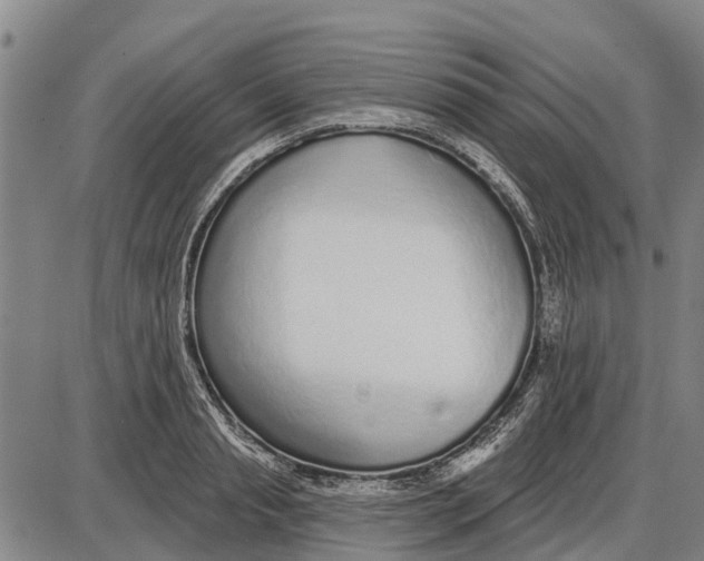 X0000085000845200703261126