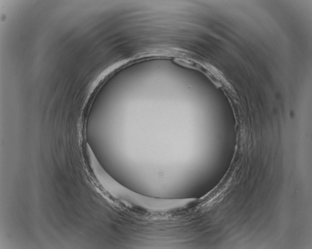 X0000085000846200703261126