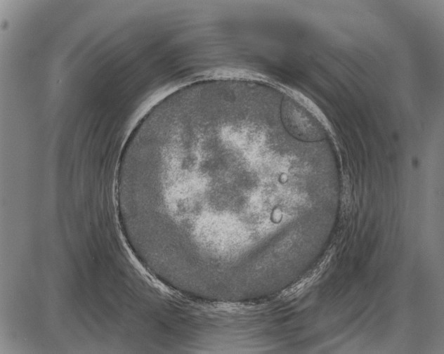 X0000085000847200703261127