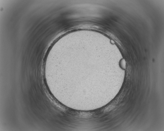 X0000085000848200703261127