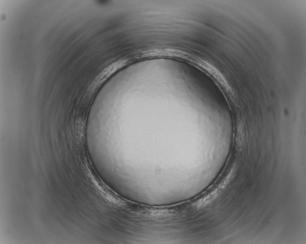 X0000085000849200703261127