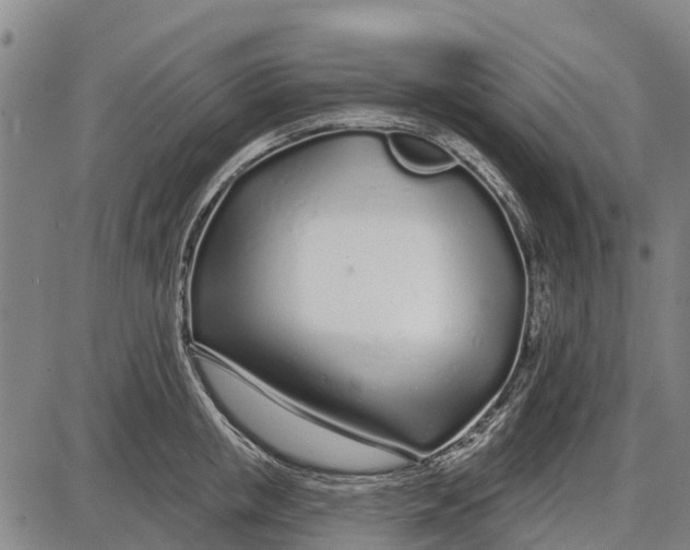 X0000085000853200703261127