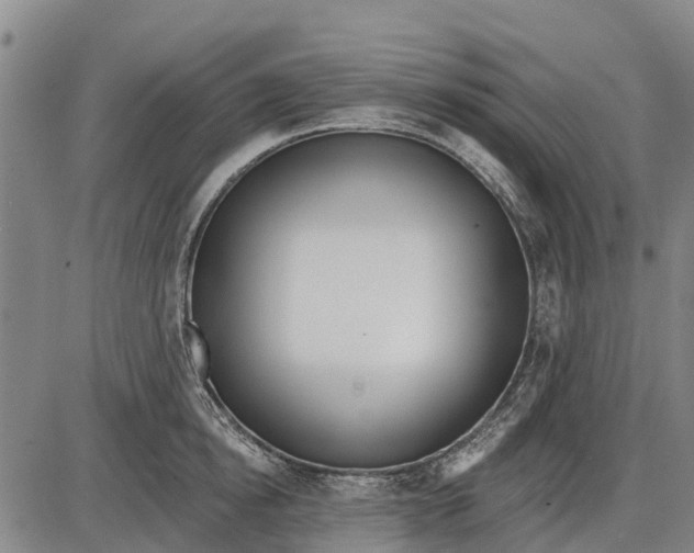 X0000085000854200703261127