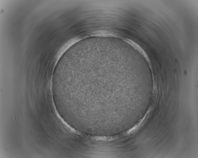 X0000085000855200703261127