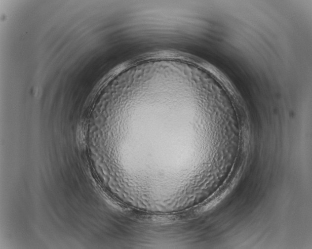 X0000085000857200703261127