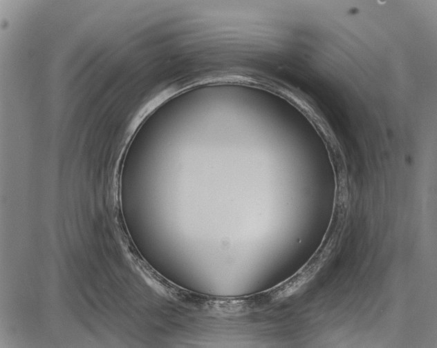 X0000085000858200703261127