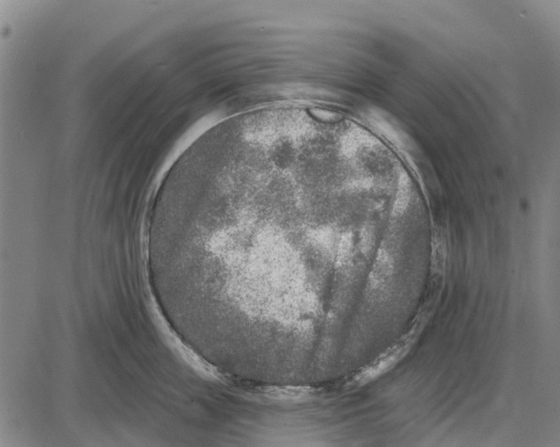 X0000085000859200703261127