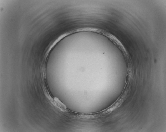 X0000085000860200703261127