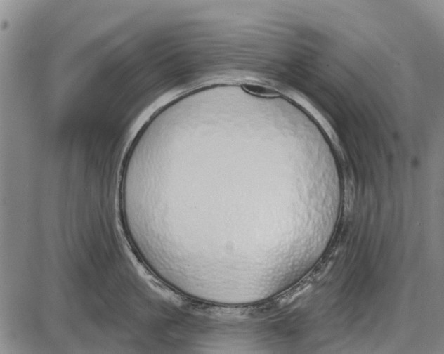 X0000085000861200703261127