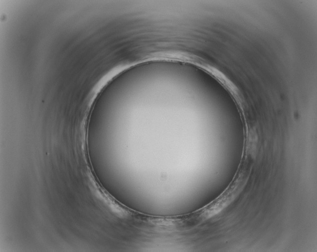 X0000085000862200703261127