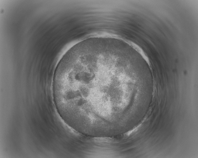 X0000085000863200703261127