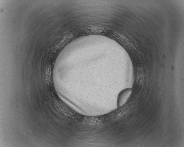 X0000085000866200703261126