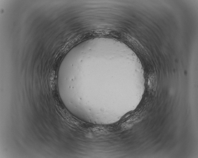 X0000085000867200703261126