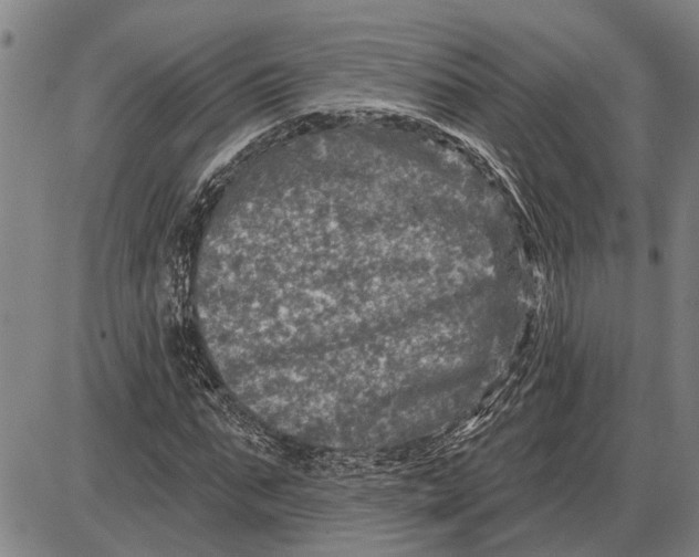 X0000085000871200703261126