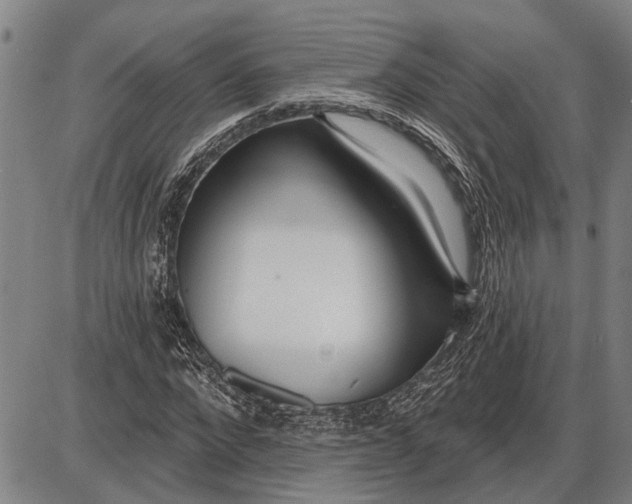 X0000085000872200703261126