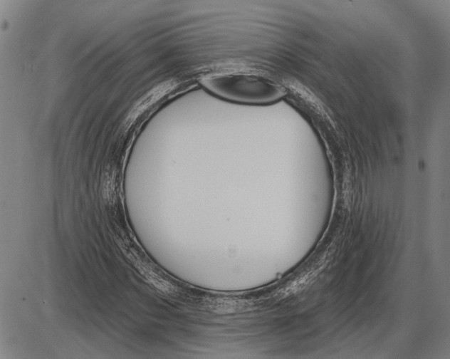 X0000085000873200703261126