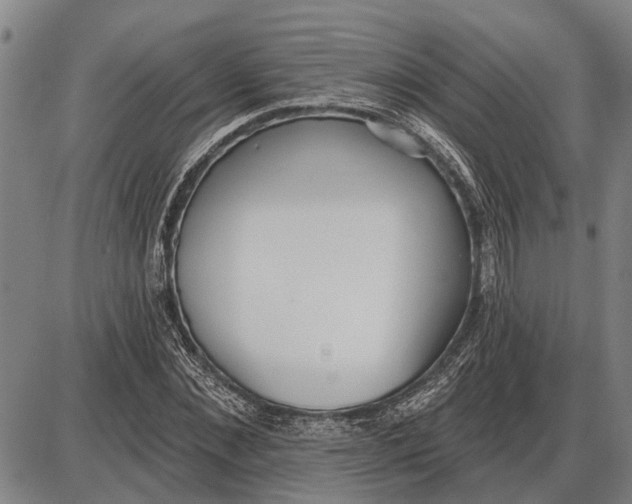 X0000085000876200703261126